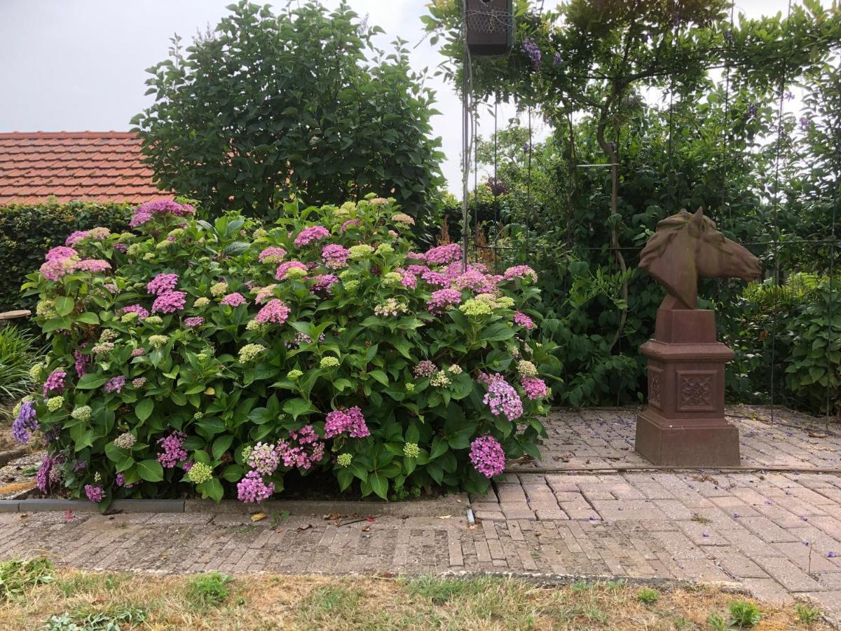 Laaker Villa Nearby Outlet Roermond Ohé en Laak Kültér fotó