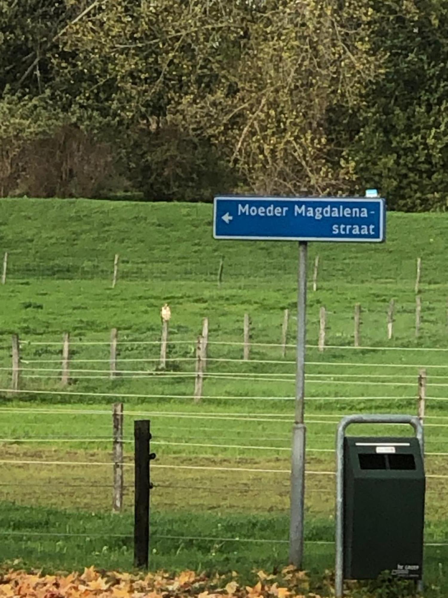 Laaker Villa Nearby Outlet Roermond Ohé en Laak Kültér fotó