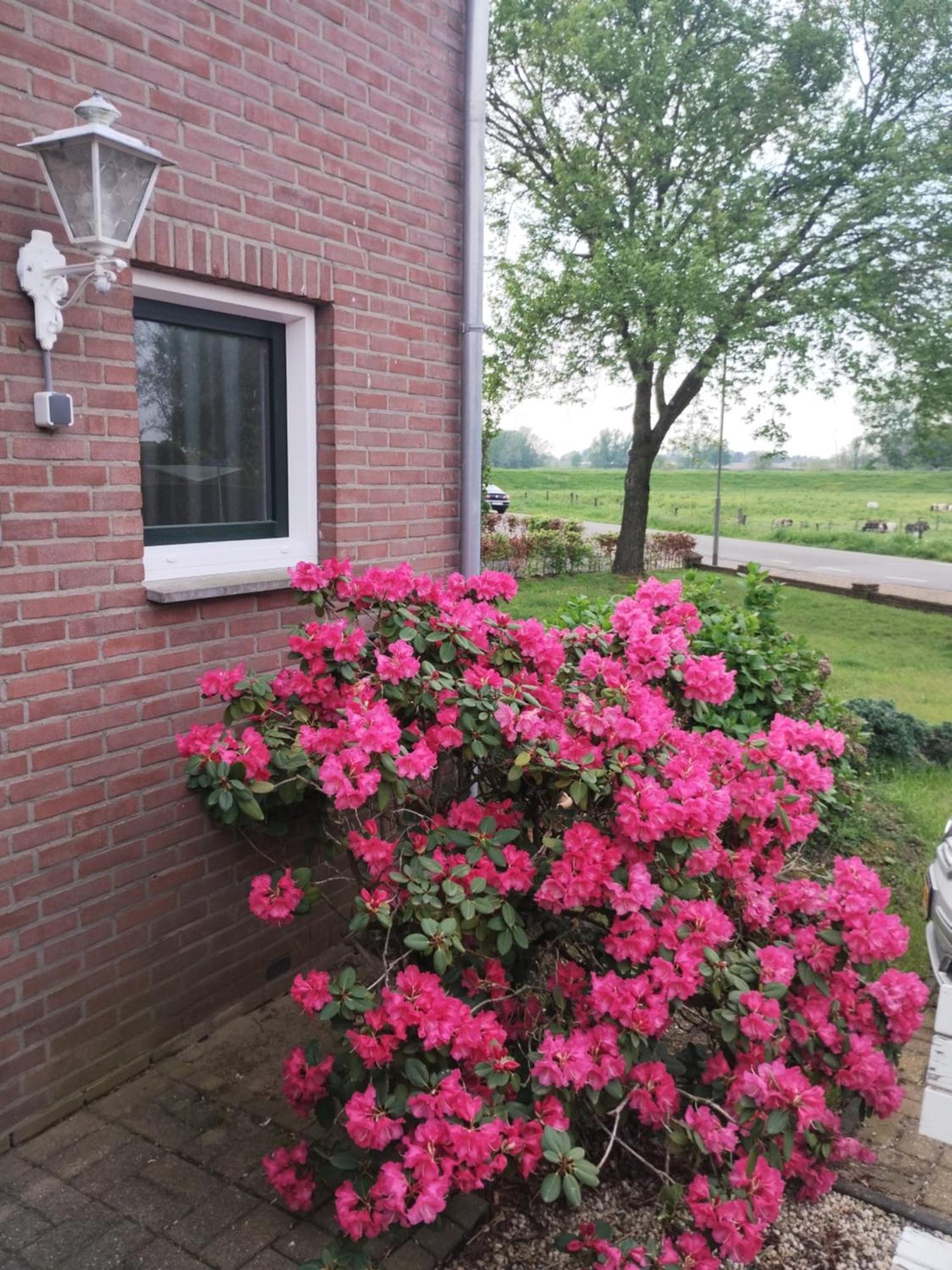 Laaker Villa Nearby Outlet Roermond Ohé en Laak Kültér fotó